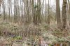 RESERVIERT - Wald und Moorland in Bassum-Hollwedel - Verkauf im Bieterverfahren bis 15.04.2024 ! - Grundstück